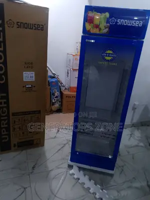 Snowsea Commercial Chiller - Lc300w for Shops and Stores