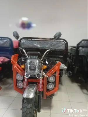 1800w Battery Cargo Tri Cycle