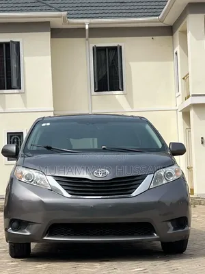 Professional Driver