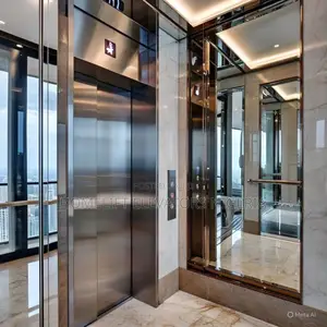 Unique Wheelchair Passenger Elevators