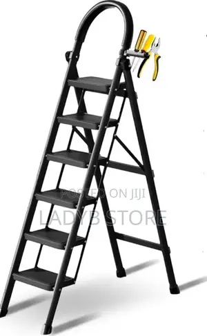 6steps Multiple Use Ladder (Black)