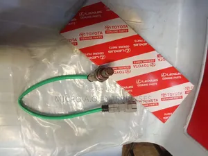 Oxygen Sensor