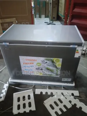 Snowsea 300 Liters Chest Freezer, With One Year Warranty.