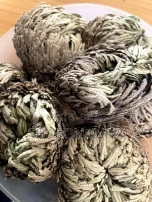 Rose of Jericho 1kg