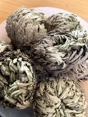 Maryam Flower/ Rose of Jericho 100g