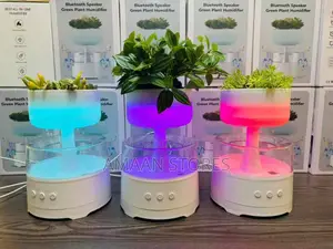 Cloud Rain Humidifier