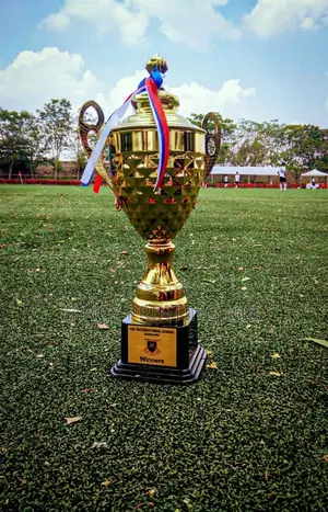 Customized Trophies – Perfect for Schools, Football Sports Awards