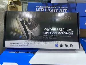 Professional Condenser Microphone