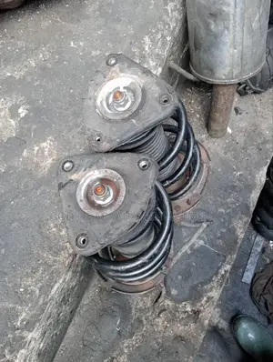 Ford Escape Front Shock Absorber 2010 Model