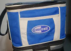 Cool Cell Insulated Lunch Bag