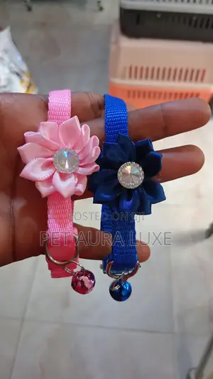 Cat /Dog Collar