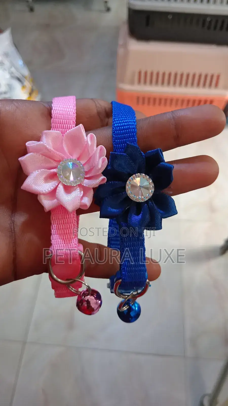 Cat /Dog Collar