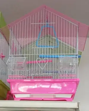 Luxury Beautiful Cage