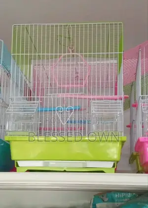 Cage for Sale at Affordable Prices