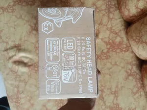 Explosion Proof Head (Battery)
