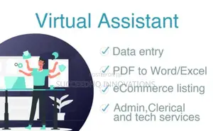 Data Entry Data Processing