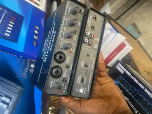 Birdsinger Bs202 Card Interface