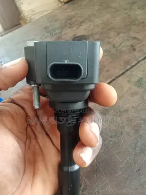 Plug Coil Ignition for Range Rover