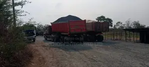 Pure Granite Chippings Stone