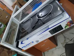 Polystar Eco Friendly Electric Built in Cooker 2 Burners