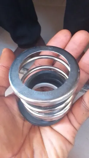Oil Seal for Pumps