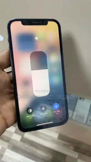 Apple iPhone 12 256 GB Blue