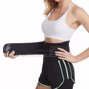Heated Lumbar Support Belt