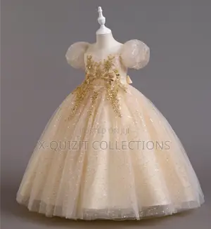 Glitter Embroidered Appliqué Gown (9-12y)