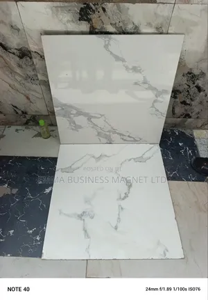 60x60 High Quality News Arrivals Goodwill Floor Tiles 