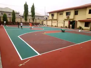 Tannis Volleyball Basketball Paint Available