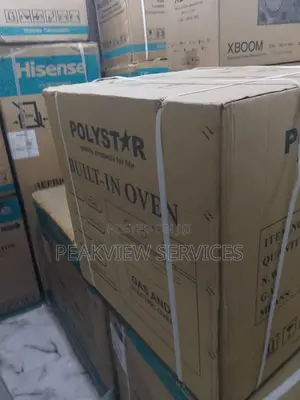 Efficient Cooking With Gas Electric Combo Oven: Polystar