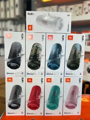 Flip6 Speaker
