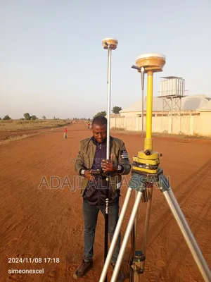 Professional Surveyor
