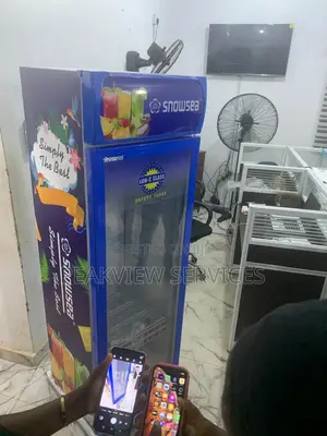 Reliable Cold Storage With Snowsea 300w Commercial Chiller