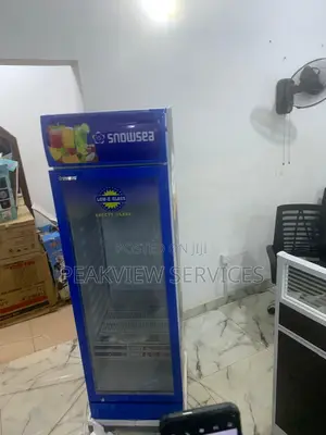 Snowsea Lc300w - Compact, Powerful, and Energy Efficient