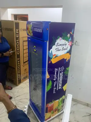 Upgrade Your Cooling Game With Snowsea 300w Chiller