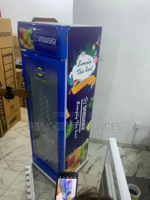 Snowsea Commercial Chiller - Lc300w for Shops and Stores