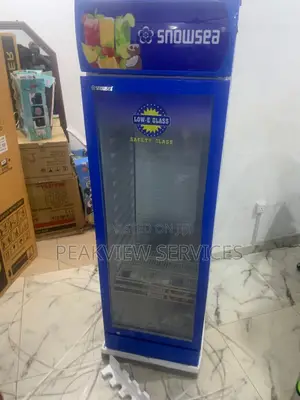 High Performance Snowsea Lc300w Chiller for Daily Use