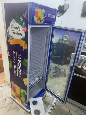Snowsea 300w Chiller - Trusted Cold Storage for Every Space