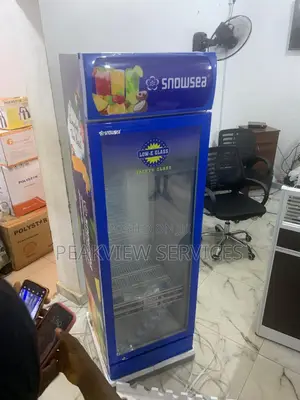 Snowsea Lc300w Chiller - Perfect for Small Business