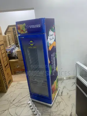 Snowsea 300w Chiller - Power Meets Efficiency