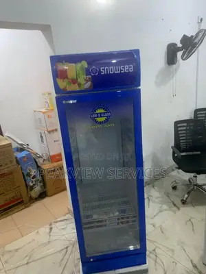 Snowsea Chiller Lc300w - Reliable Cooling Power