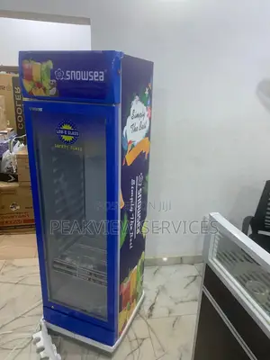 Snowsea Lc 300w Chiller - Your Daily Cooling Partner