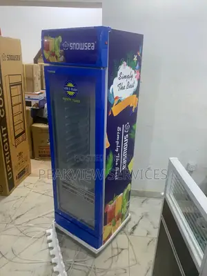 Strong Cooling in a Sleek Design - Snowsea Lc 300w Chiller