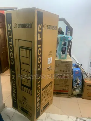 Energy Saving Chiller - Snowsea Lc 300w