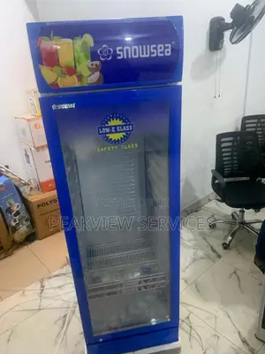 Snowsea Lc 300w Chiller - Perfect for Beverages More