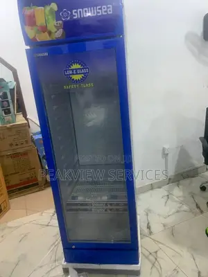 Chill Like a Pro With Snowsea Lc 300w Chiller