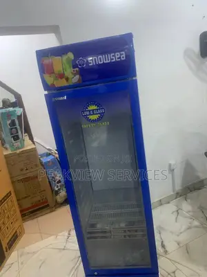 Cool Convenience With Snowsea Lc 300w Chiller