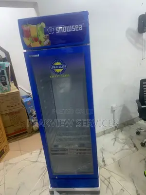 Snowsea Lc 300w Chiller - Performance You Can Rely On