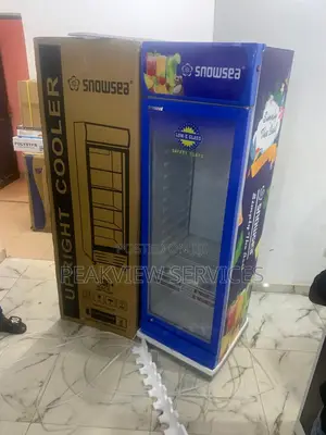 Snowsea Lc 300w Chiller - Affordable Cooling With Style